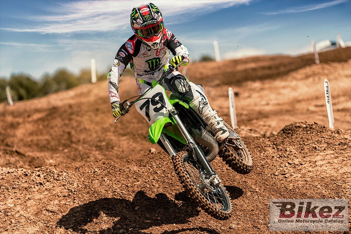 2020 kx100